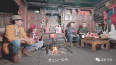 疯狂的小猫