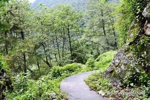 坐月子“度日如年”如何让身体恢复的快，时间过得也快？游戏画面