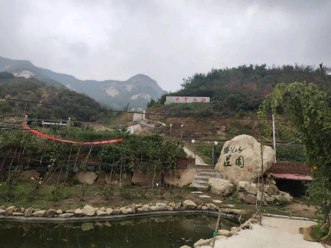 如何评价河南卫视的重阳奇妙游？游戏画面