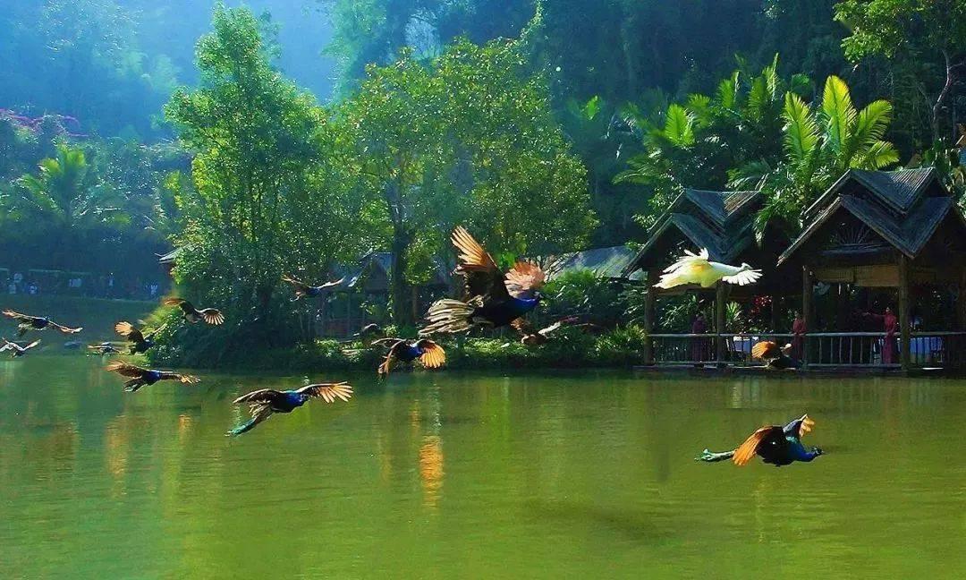 熊出没水果大陆2