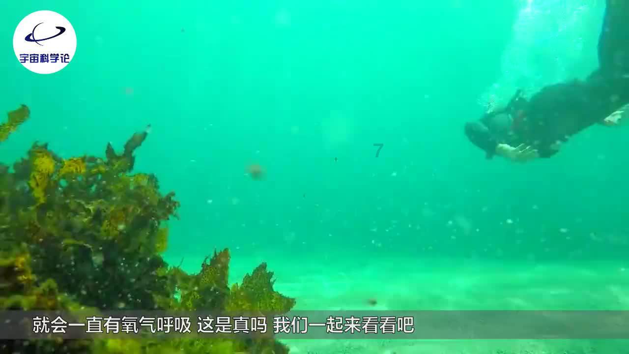 行尸走肉：最终季