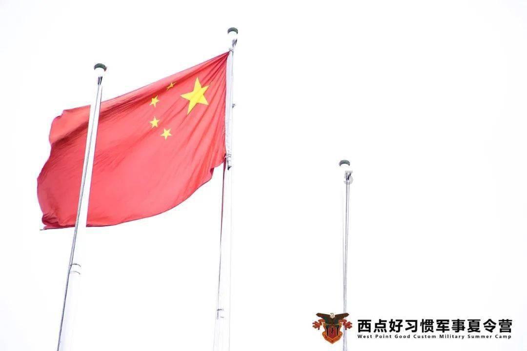 滚动的奶酪选关版