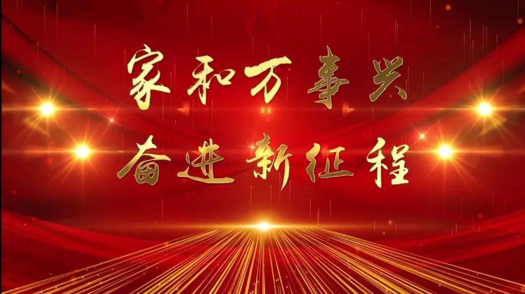 拯救受伤的猫