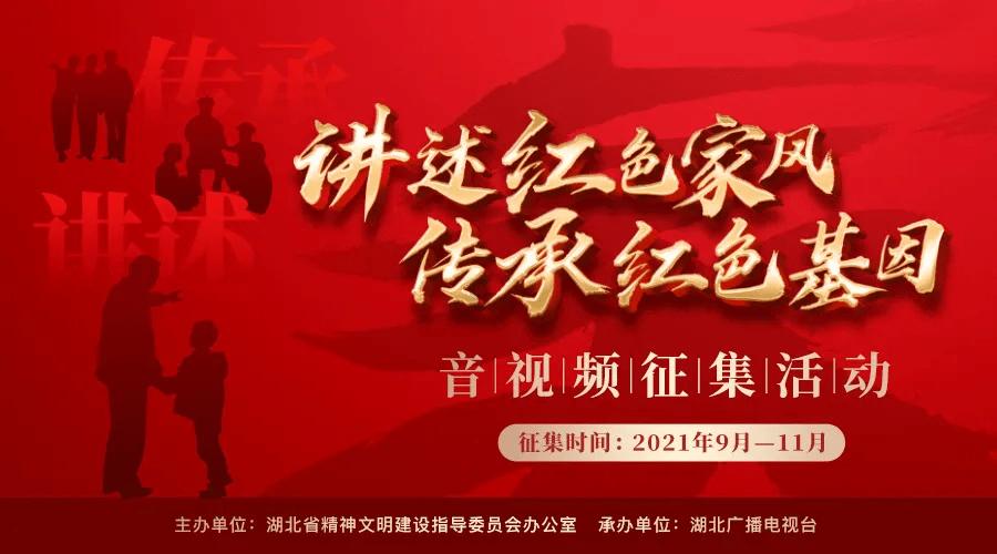 动物拼一拼