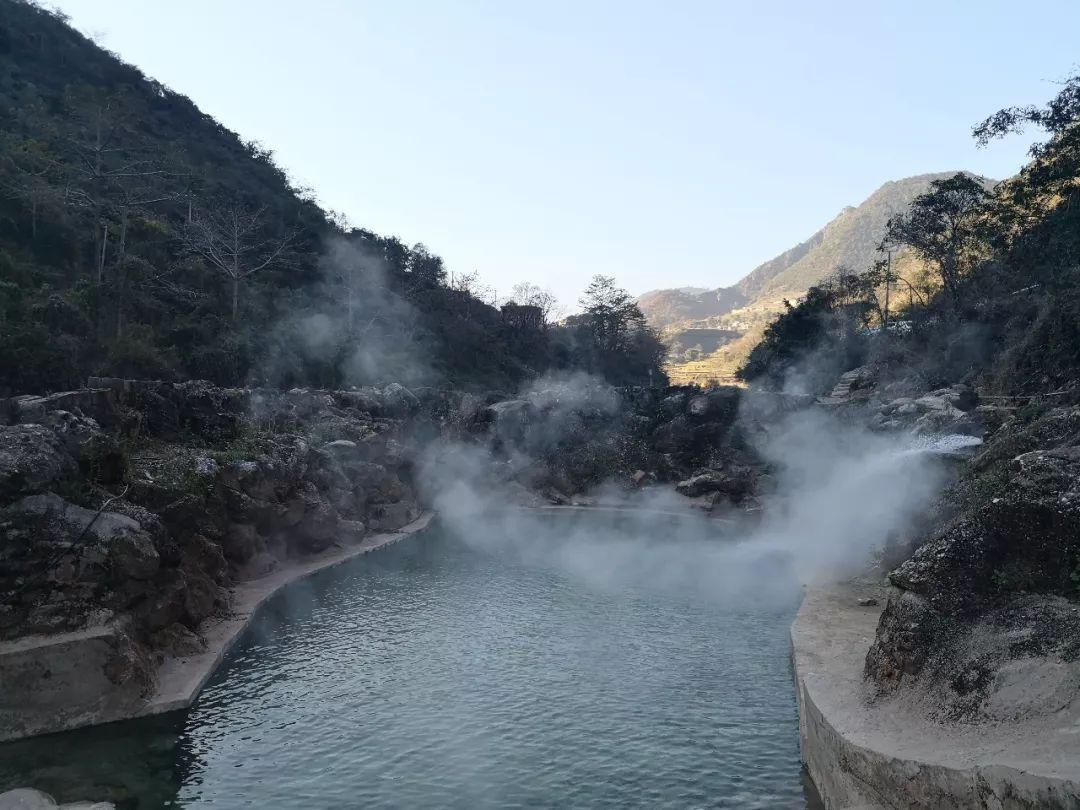 司机未戴口罩被罚2千大哭，多方回应并没有罚款！背后有人在炒作吗？游戏画面