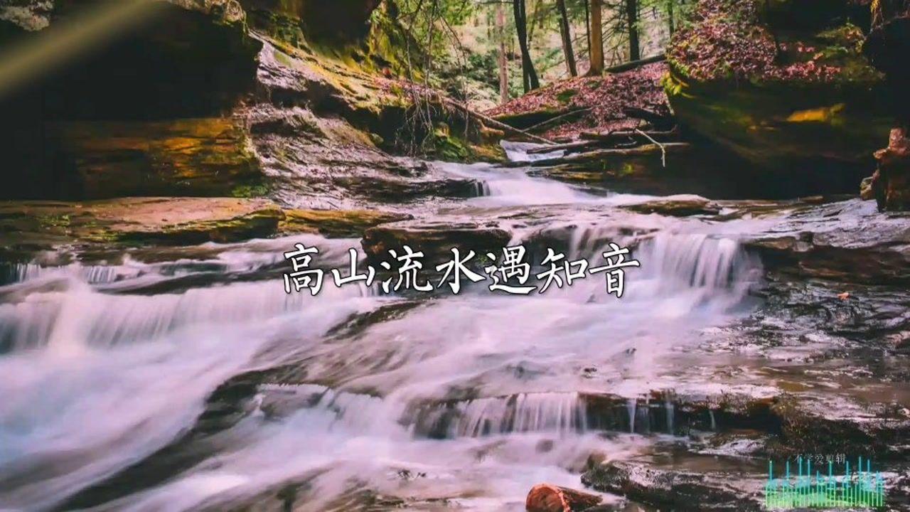 辽宁省两会观察：山海关不住 孔雀向北飞
