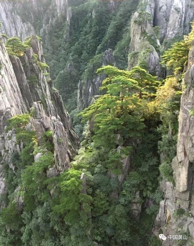 你说过的最委屈求全的话是什么？游戏画面