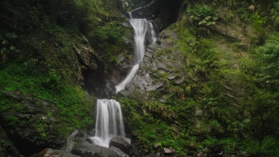高级定制