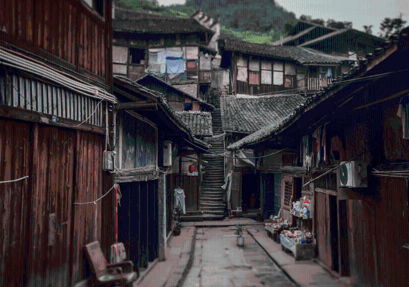 春雨直播app
