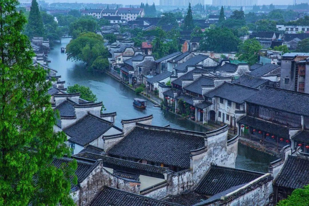 了解谁是全球智商最高的人知识星球,拓展您的知识圈子