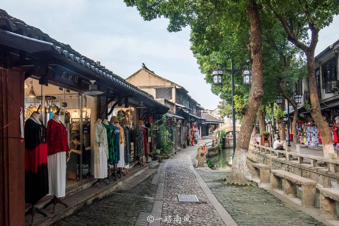 小仓鼠吃瓜子
